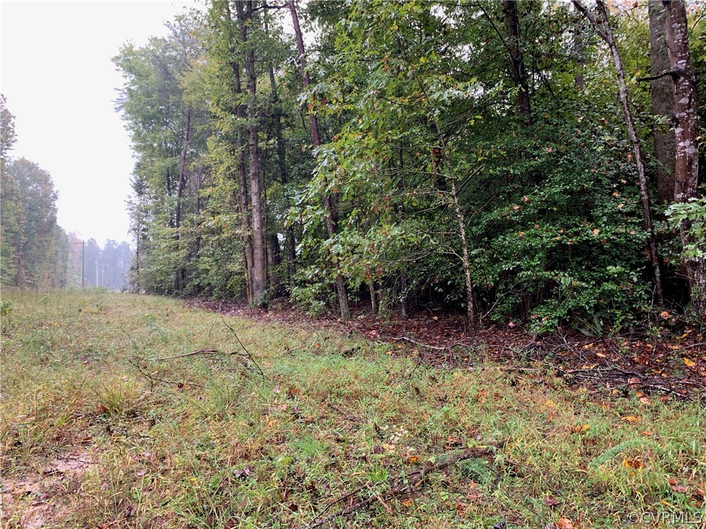 Tbd Mt Olive Cohoke Road West Point, VA 23181 - Photo 2 of 3 Gallery Image 2