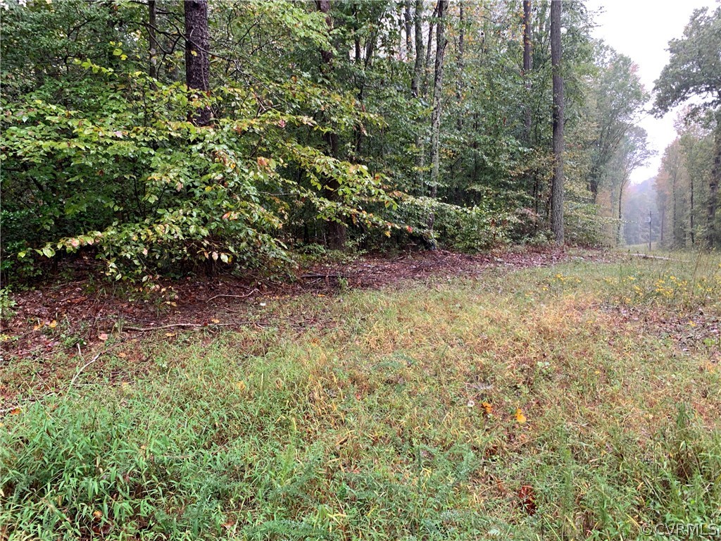 Tbd Mt Olive Cohoke Road West Point, VA 23181 - Photo 3 of 3 Gallery Image 3