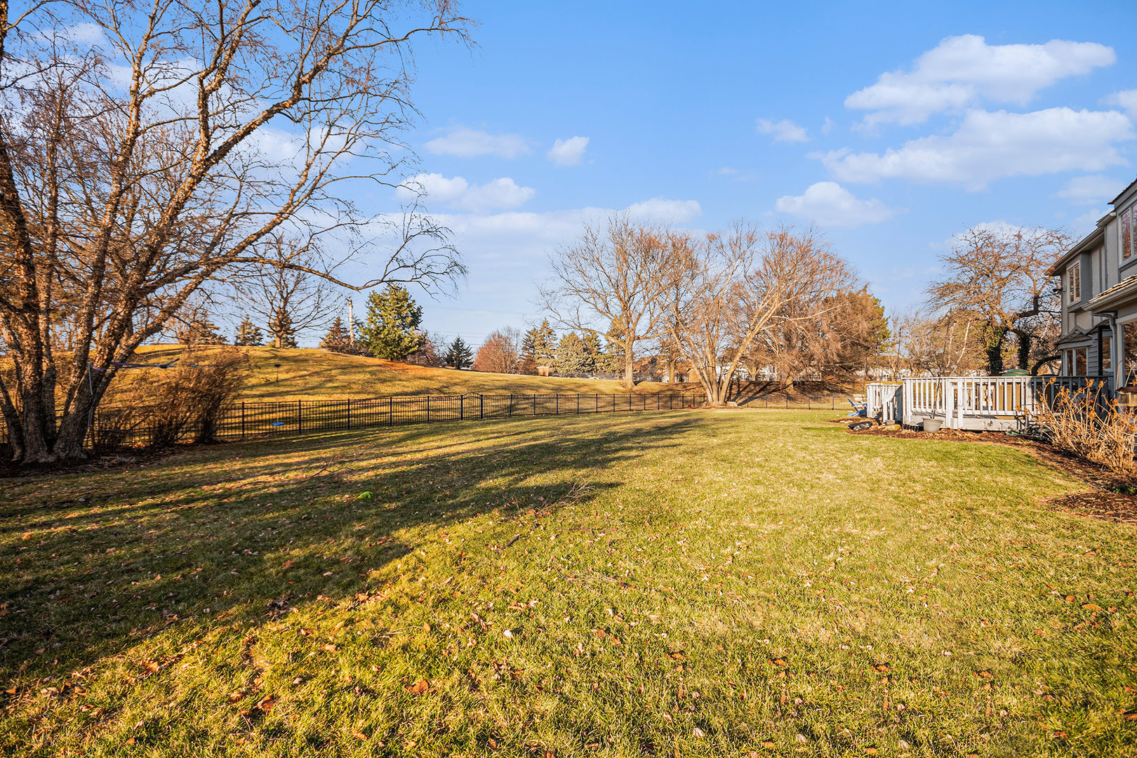 3942 Broadmoor Circle Naperville, IL 60564 - Photo 24 of 25 a view of city view
