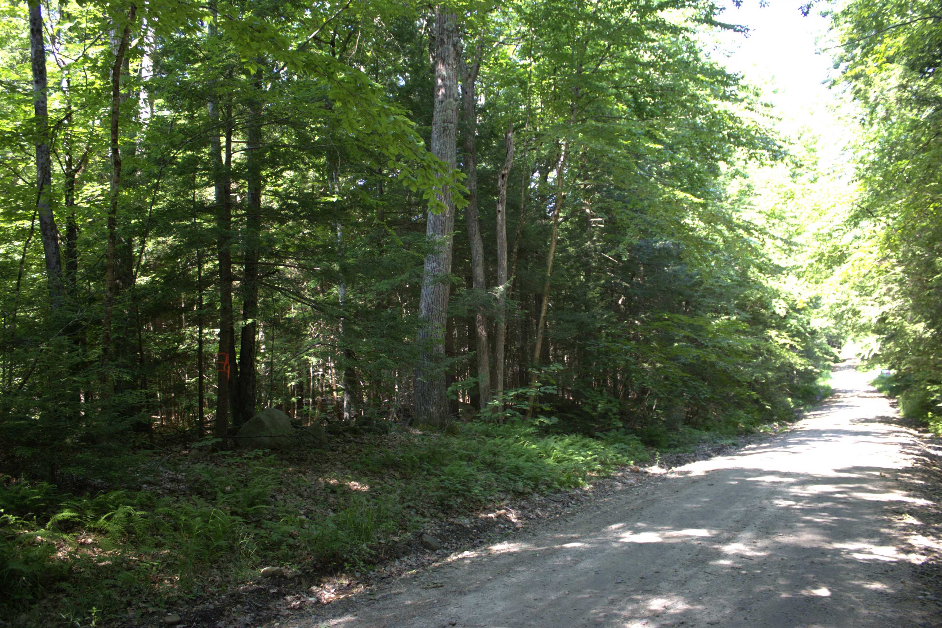 0 Old Turnpike Road Richmond, NH 03470 - Photo 3 of 6 Gallery Image 3