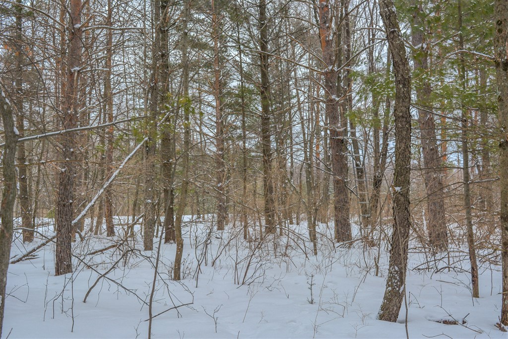 Lot 2 Daisy Patch Road Fish Creek, WI 54212 - Photo 11 of 14