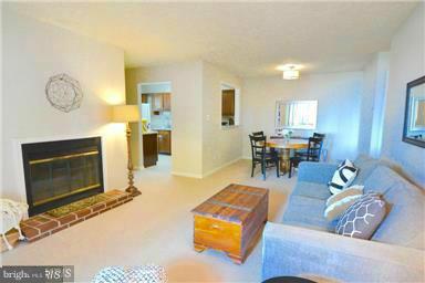 10169 Oakton Terrace Road, Unit 10169 Oakton, VA 22124 - Photo 3 of 14 a living room with furniture a fireplace a rug and a window
