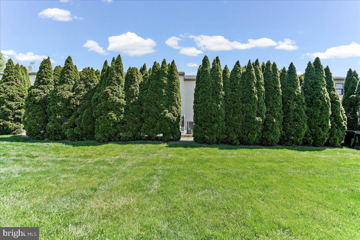 54 Norwood House Road, Unit 34 Downingtown, PA 19335 - Photo 12 of 21 a view of a green yard