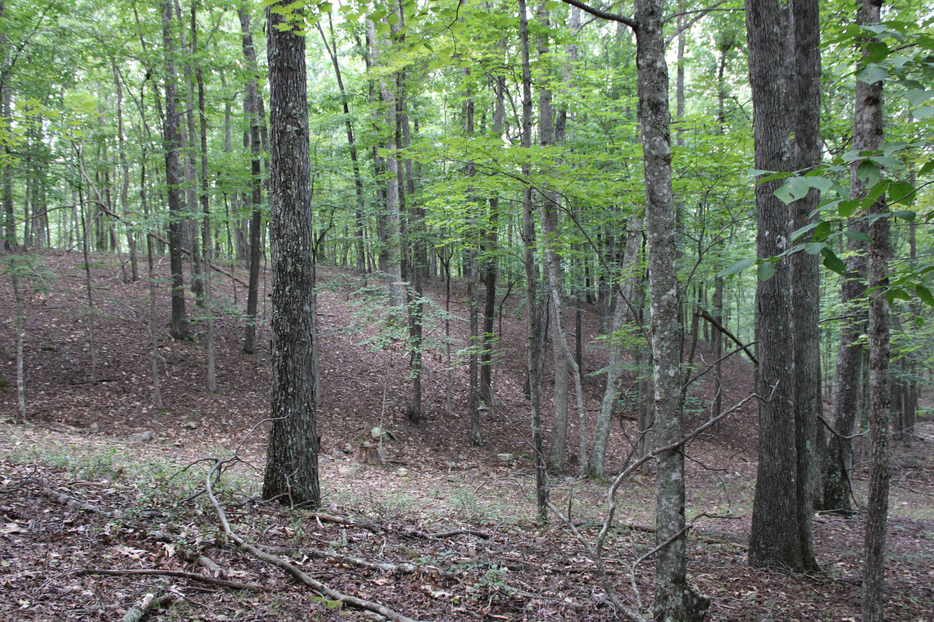 2816 Johns Creek Road New Castle, VA 24127 - Photo 51 of 96 IMG_0073