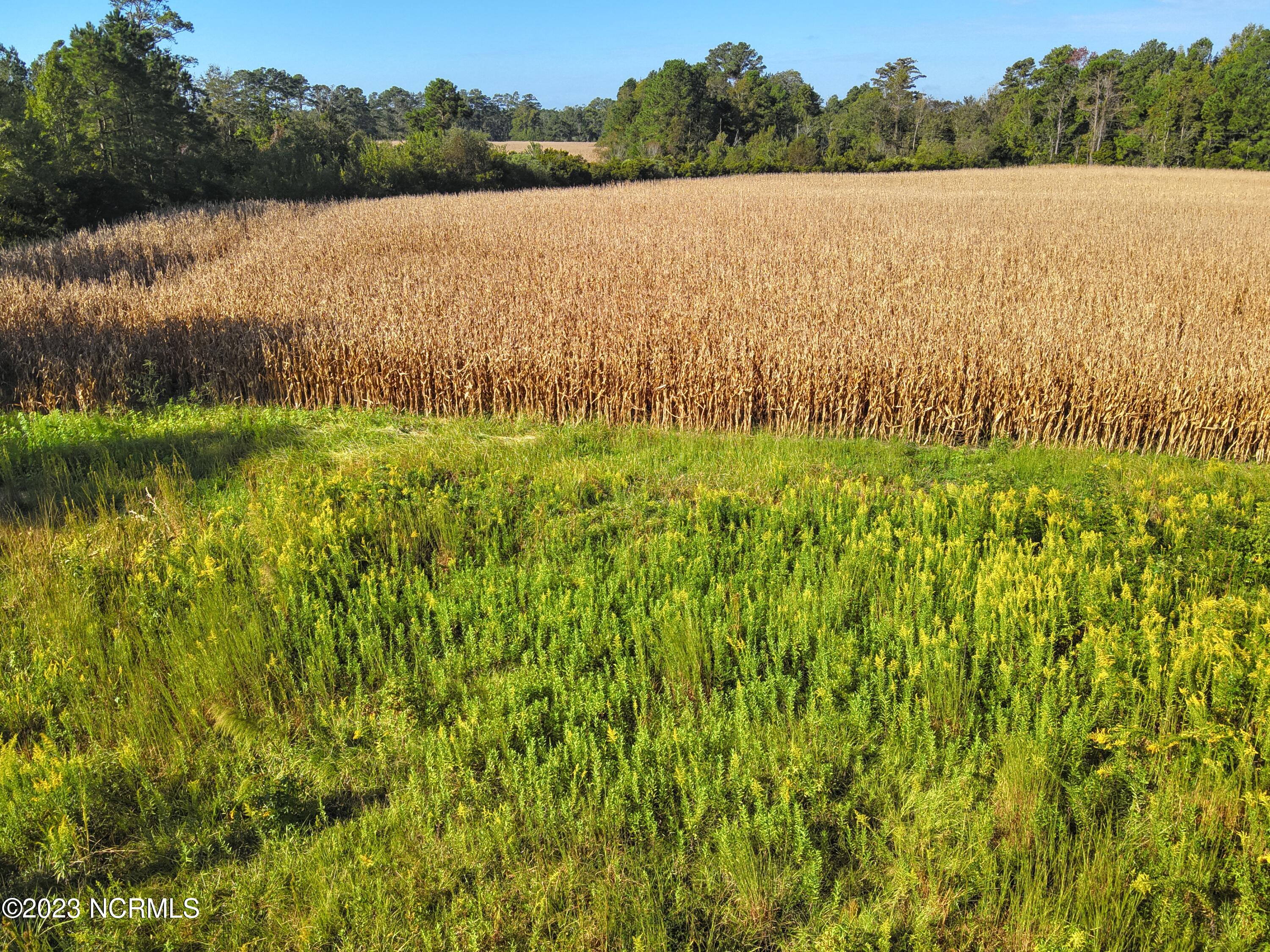 0 Hardesty Loop Road Newport, NC 28570 - Photo 20 of 27 20