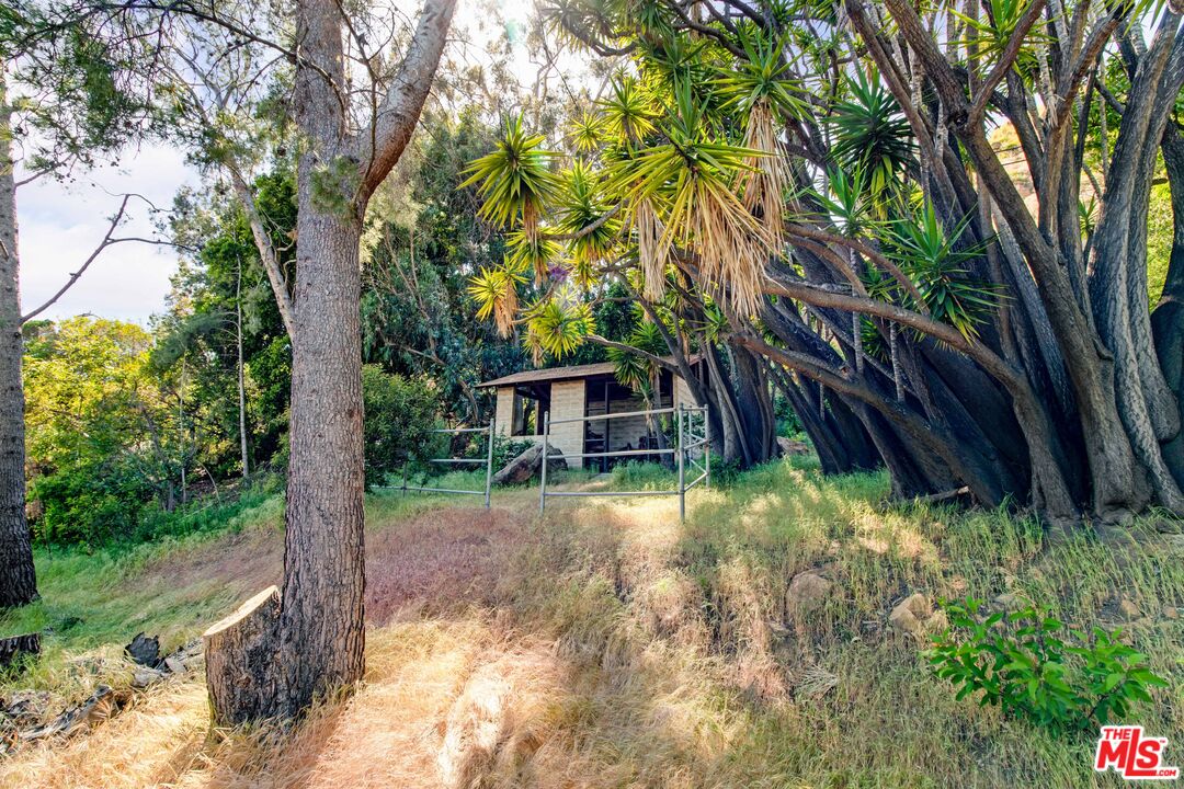 20490 Seaboard Road Malibu, CA 90265 - Photo 11 of 50 a backyard of a house with lots of green space
