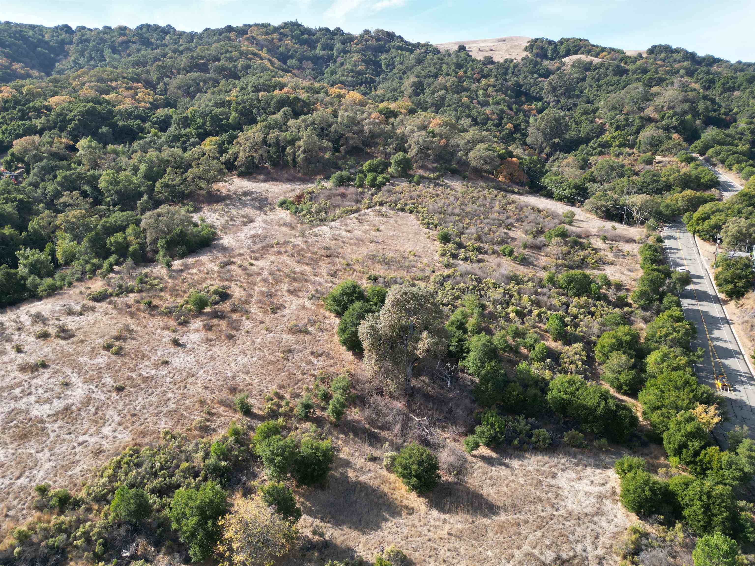 3984 Foothill Road Pleasanton, CA 94588 - Photo 13 of 25 a view of a forest with a tree in the background