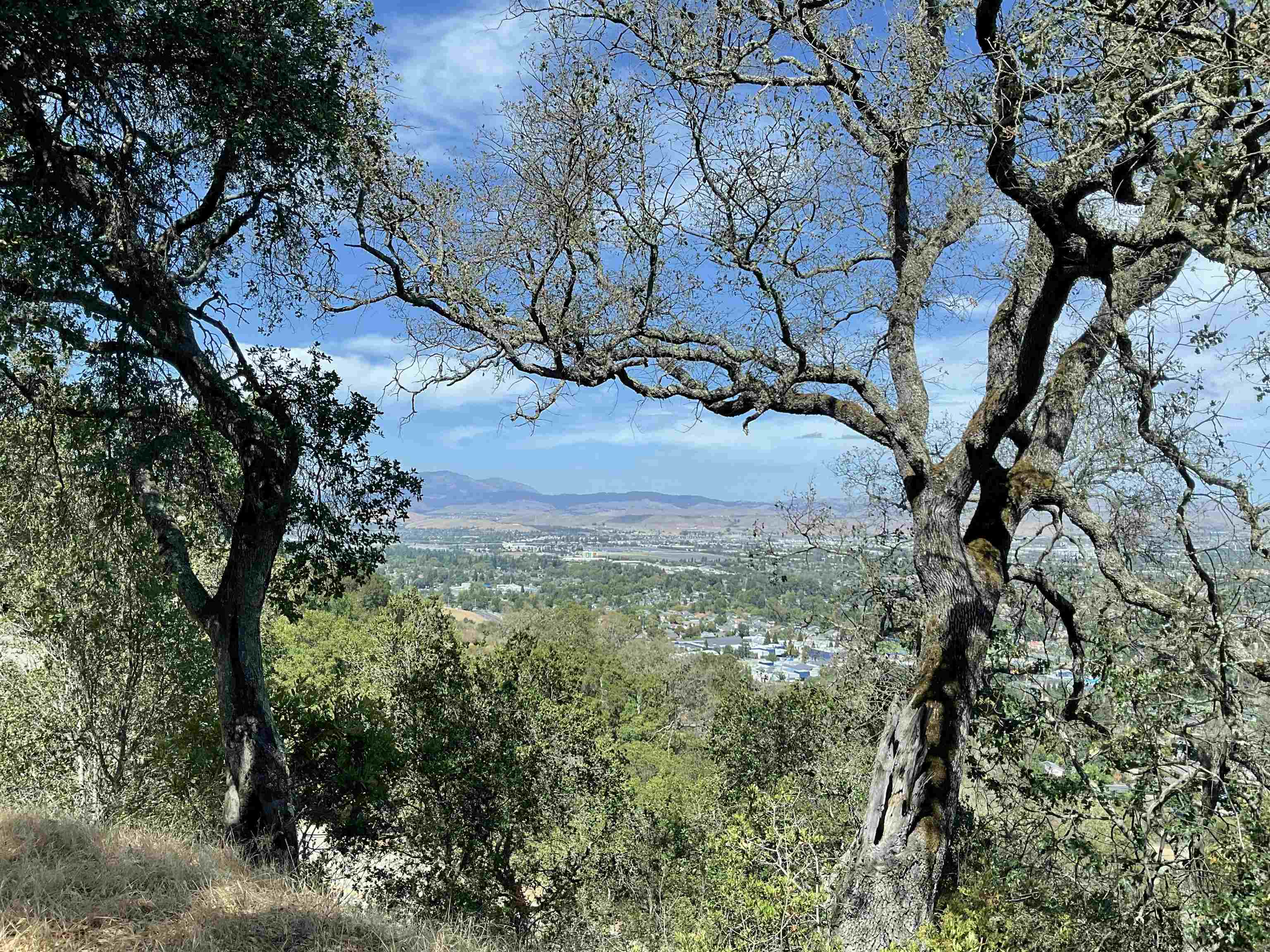 3984 Foothill Road Pleasanton, CA 94588 - Photo 25 of 25 a view of street view