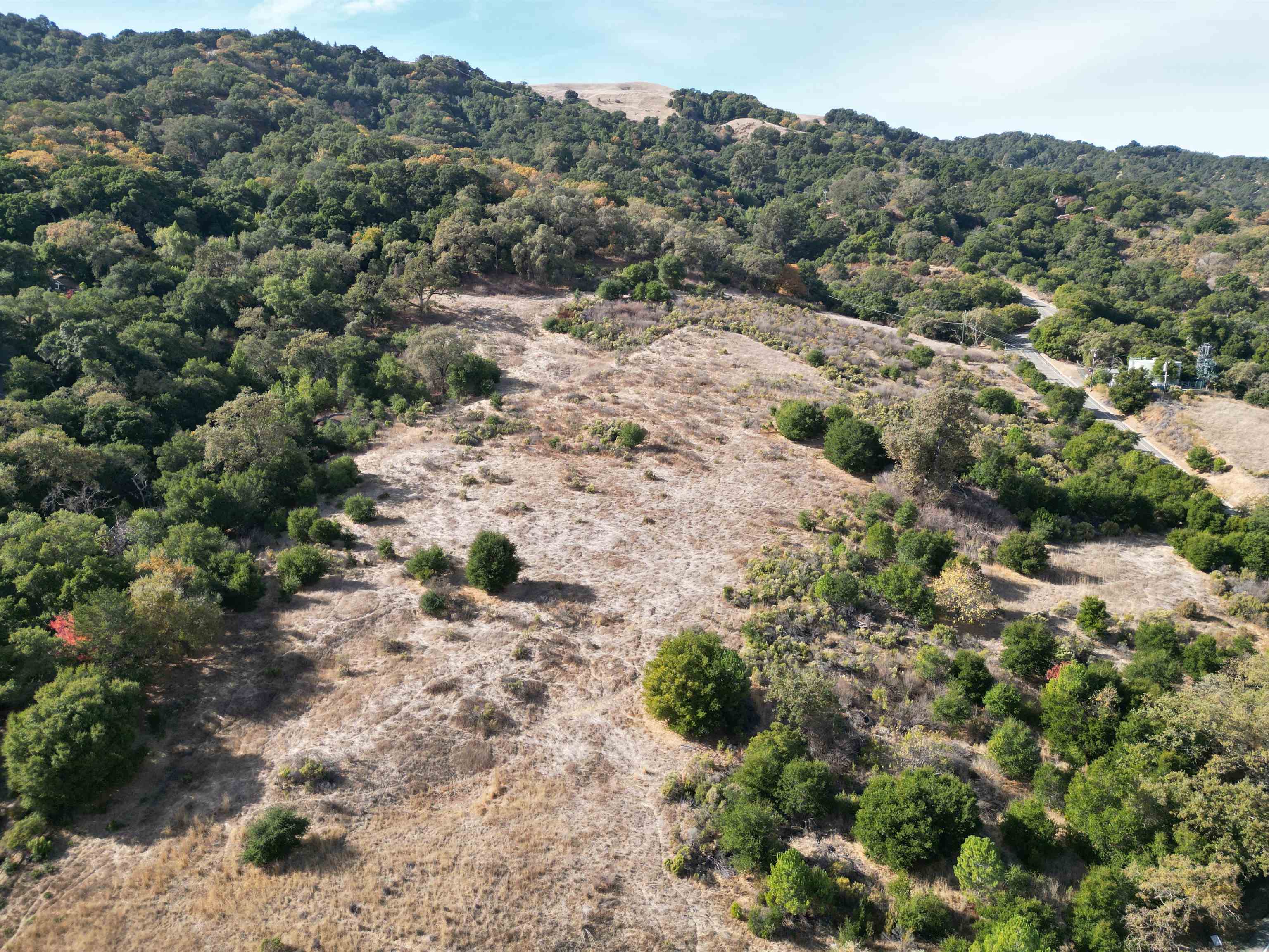3984 Foothill Road Pleasanton, CA 94588 - Photo 8 of 25 a view of a forest with a forest