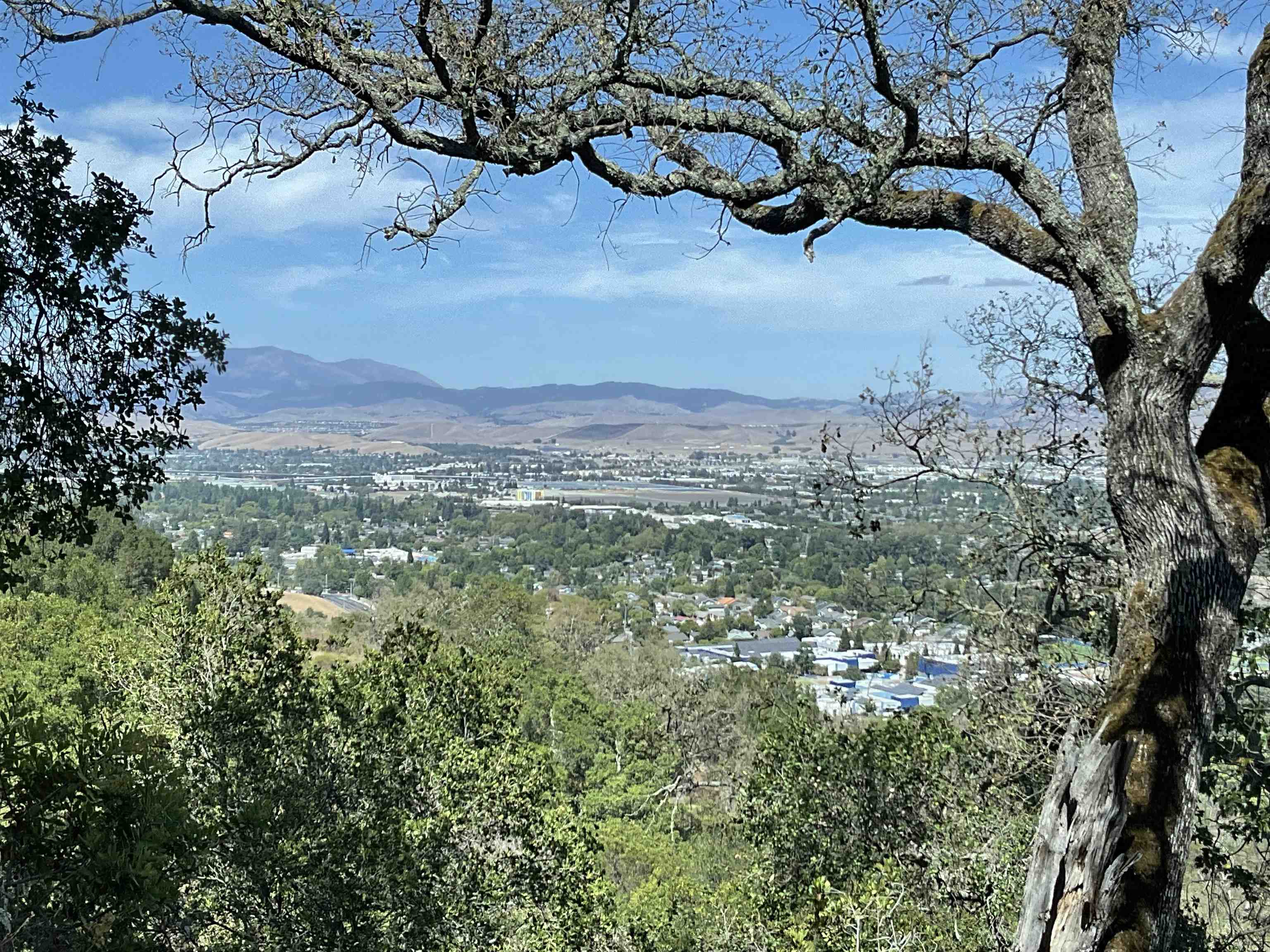 3984 Foothill Road Pleasanton, CA 94588 - Photo 9 of 25 a view of mountain with yard