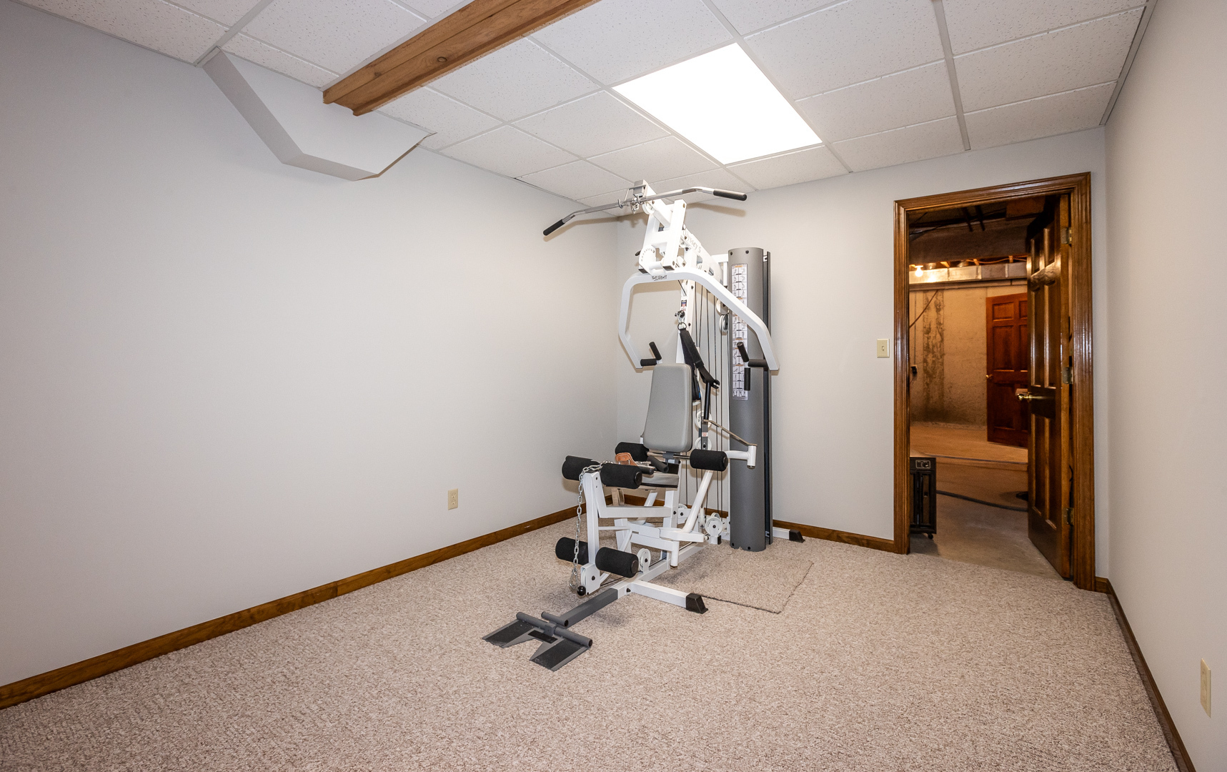 10003 Oakleaf Way McCordsville, IN 46055 - Photo 25 of 57