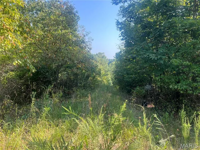 $115,000 | 523 Faith Road, Wappapello, MO 63966