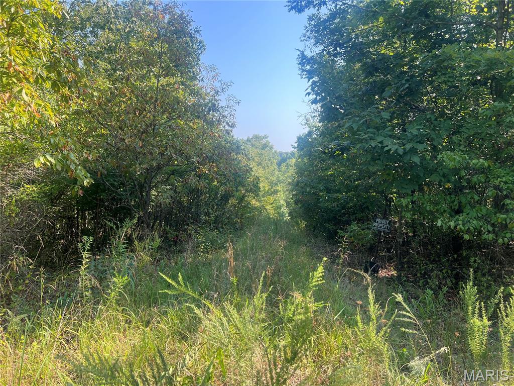 523 Faith Road Wappapello, MO 63966 - Photo 12 of 22