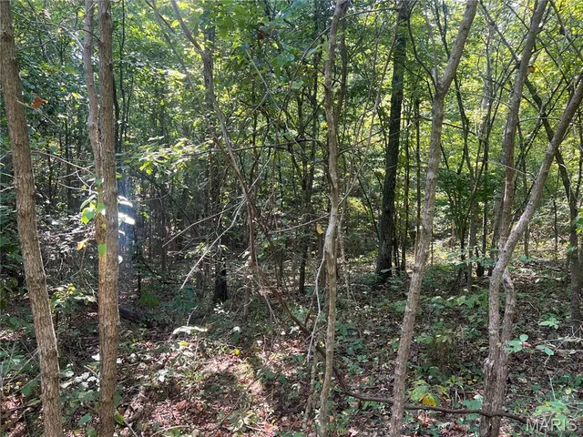 $115,000 | 523 Faith Road, Wappapello, MO 63966