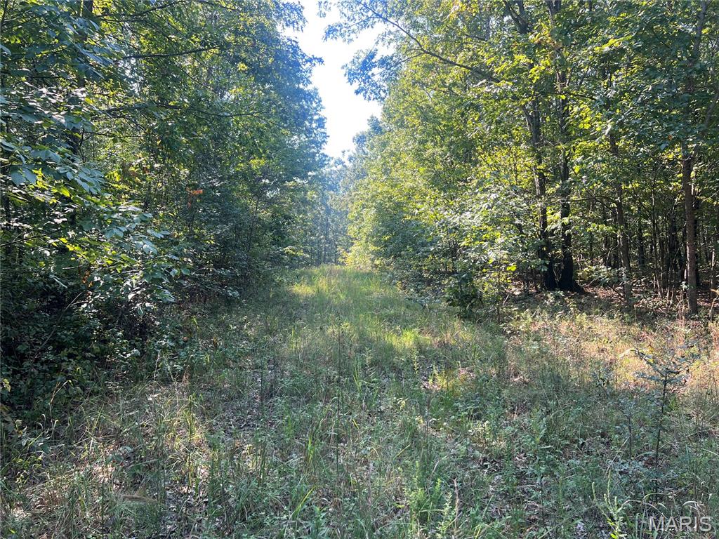 523 Faith Road Wappapello, MO 63966 - Photo 14 of 22