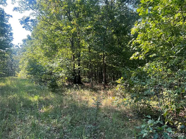 $115,000 | 523 Faith Road, Wappapello, MO 63966