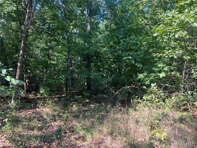 $115,000 | 523 Faith Road, Wappapello, MO 63966