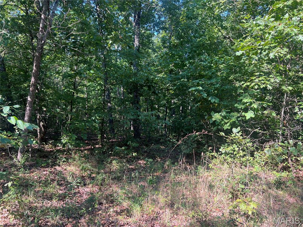 523 Faith Road Wappapello, MO 63966 - Photo 16 of 22