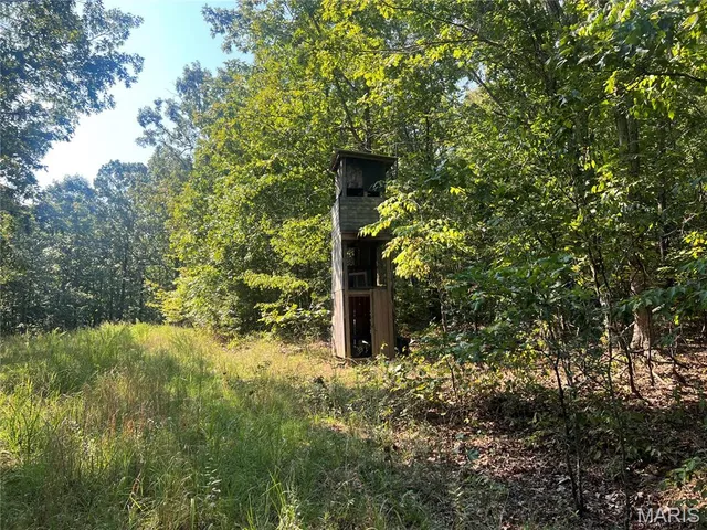 $115,000 | 523 Faith Road, Wappapello, MO 63966