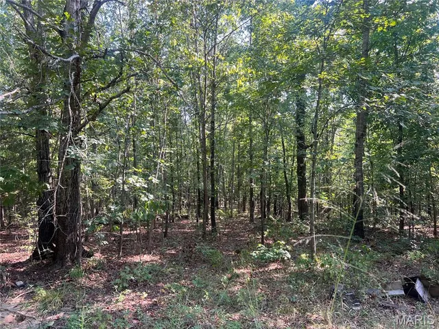 $115,000 | 523 Faith Road, Wappapello, MO 63966