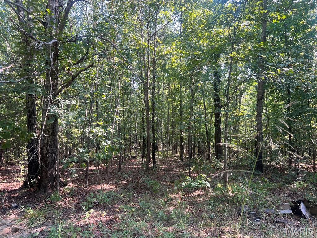 523 Faith Road Wappapello, MO 63966 - Photo 18 of 22