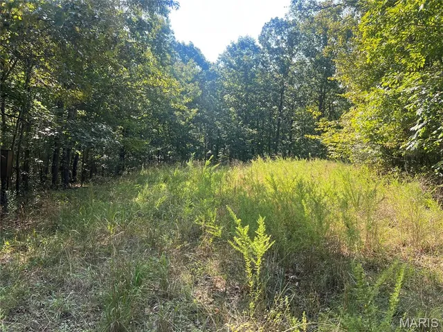 $115,000 | 523 Faith Road, Wappapello, MO 63966