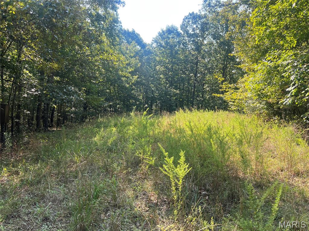 523 Faith Road Wappapello, MO 63966 - Photo 19 of 22