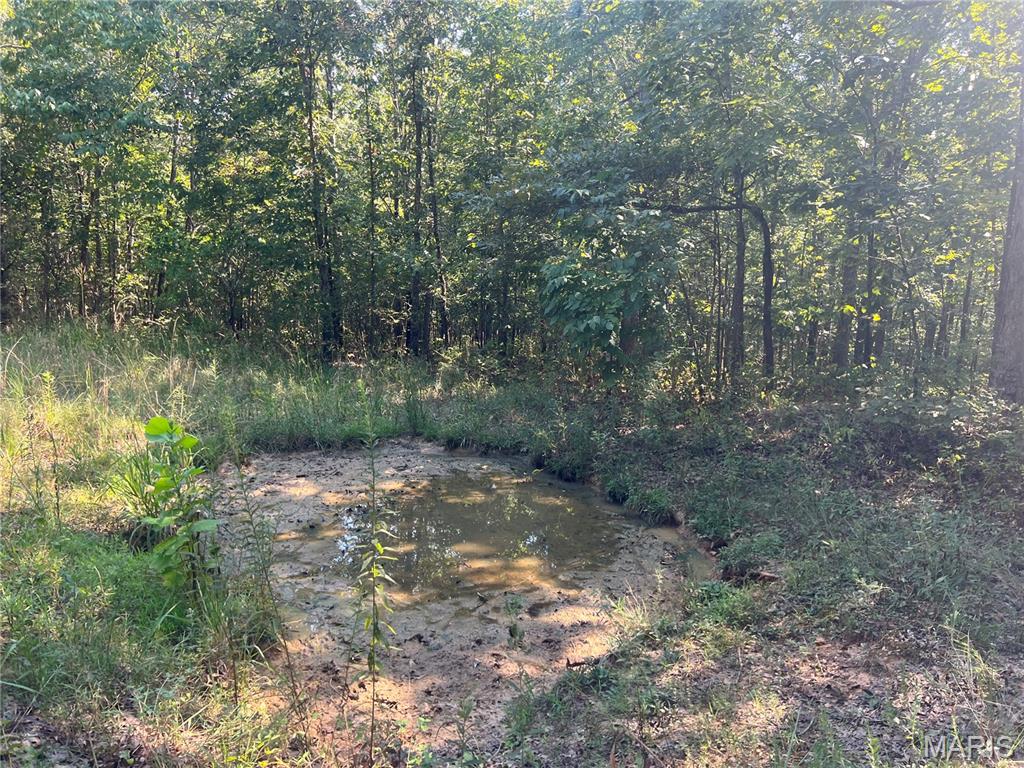 523 Faith Road Wappapello, MO 63966 - Photo 20 of 22