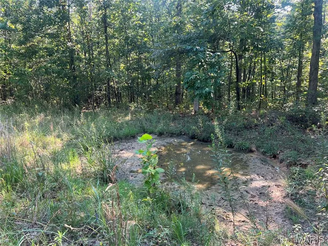 $115,000 | 523 Faith Road, Wappapello, MO 63966