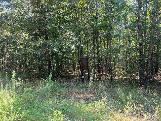 $115,000 | 523 Faith Road, Wappapello, MO 63966