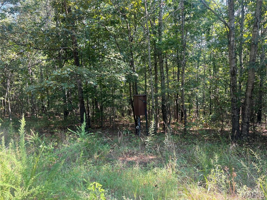 523 Faith Road Wappapello, MO 63966 - Photo 22 of 22