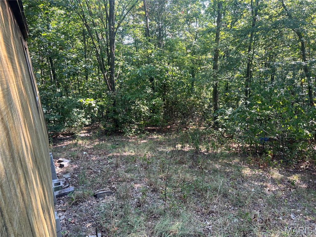 523 Faith Road Wappapello, MO 63966 - Photo 3 of 22