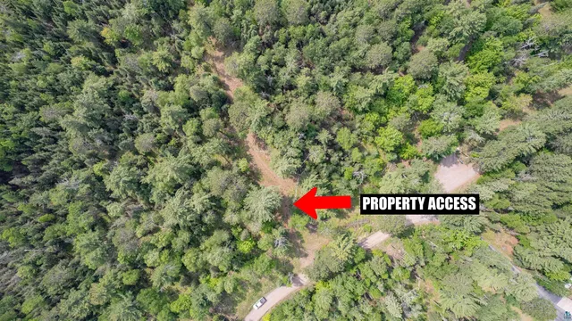 $150,000 | Xxx Forest Drive, Duluth, MN 55803