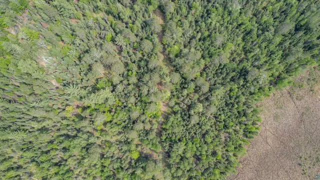 $150,000 | Xxx Forest Drive, Duluth, MN 55803