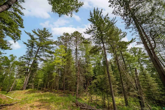 $150,000 | Xxx Forest Drive, Duluth, MN 55803