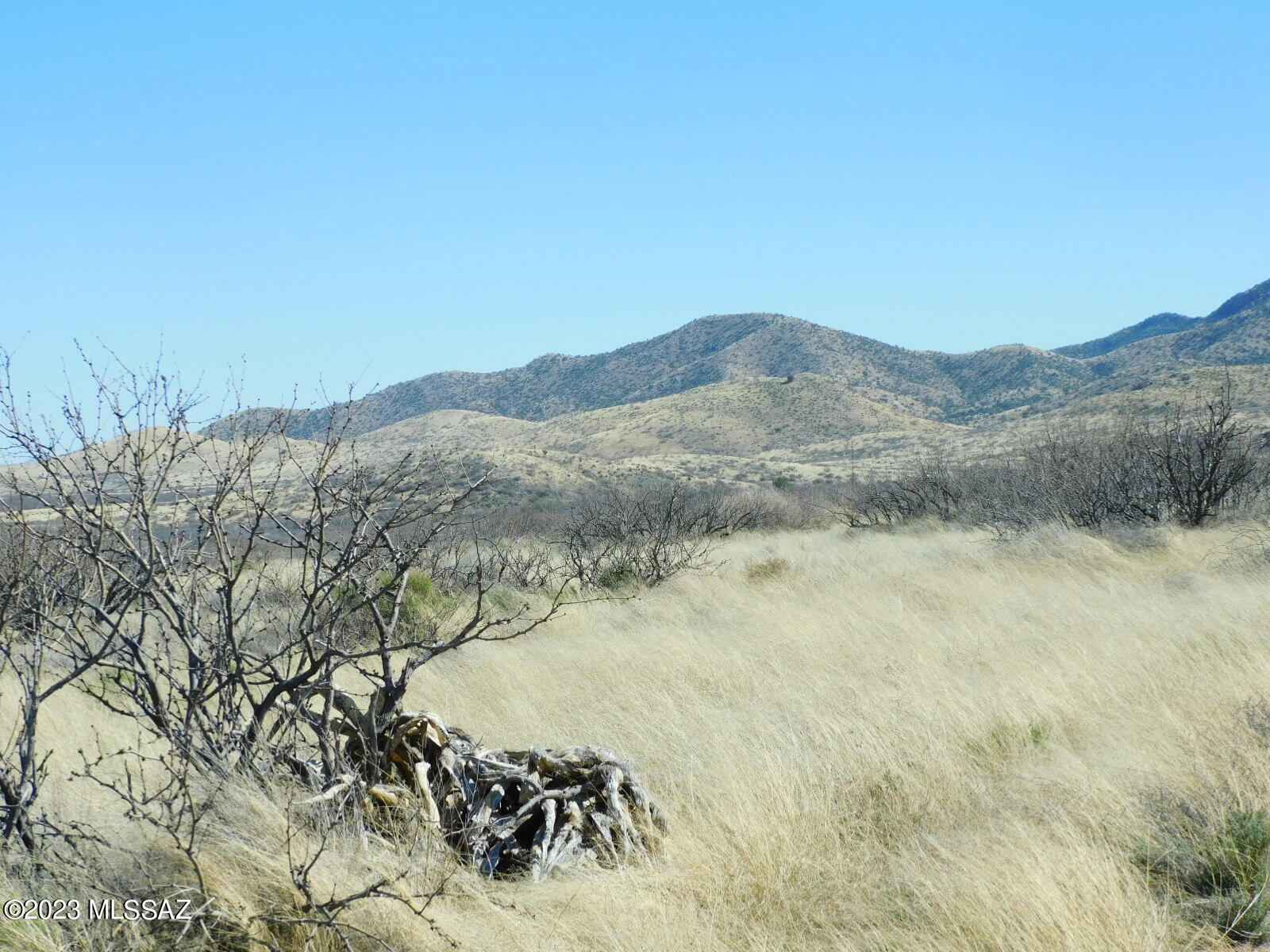Tbd 24-ac South Pinery Canyon Road, Unit D Willcox, AZ 85643 - Photo 21 of 24
