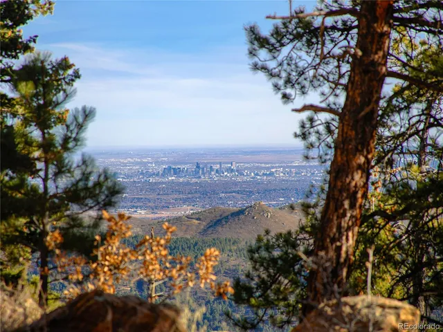 a view of a lake in middle of forest