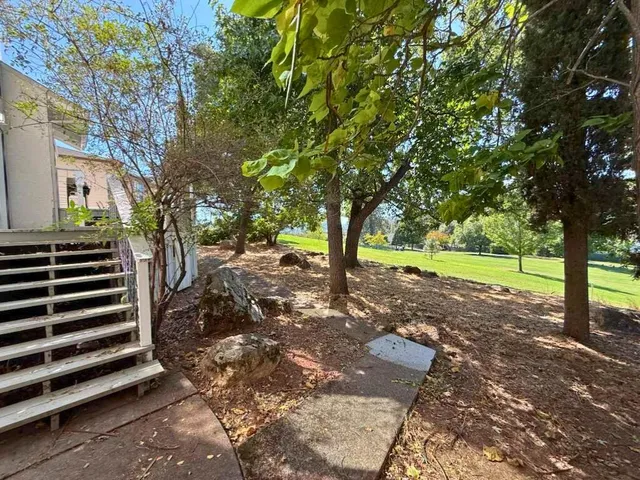 a view of a yard with plants and trees