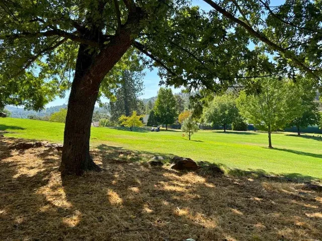a view of a yard with a tree