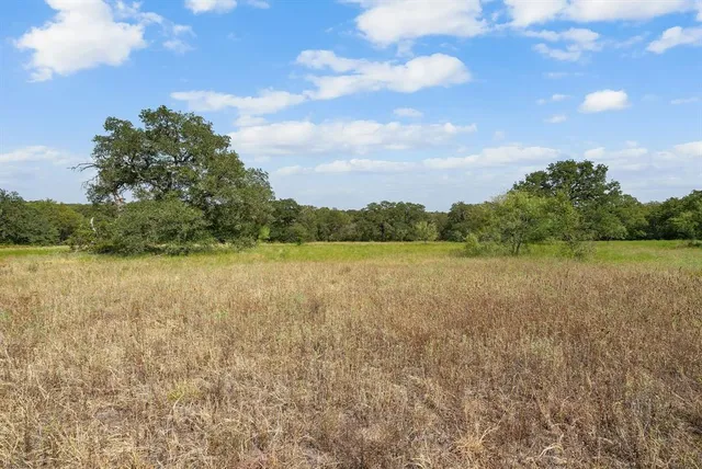 a view of a field of grass and trees