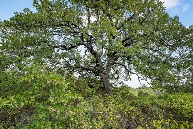 a view of lake with green space