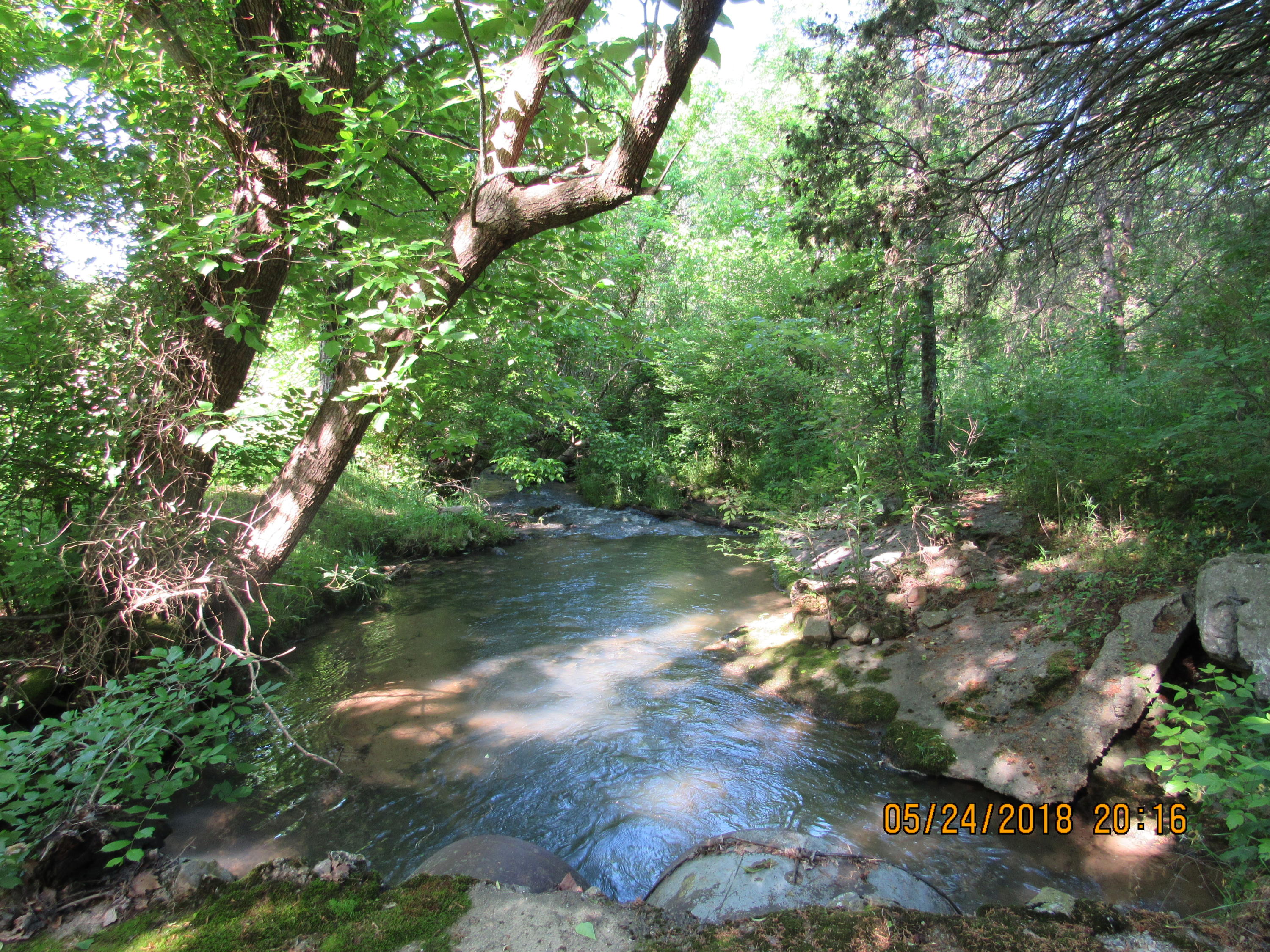 Sunnydale Road Greeneville, TN 37743 - Photo 1 of 23 IMG_0544