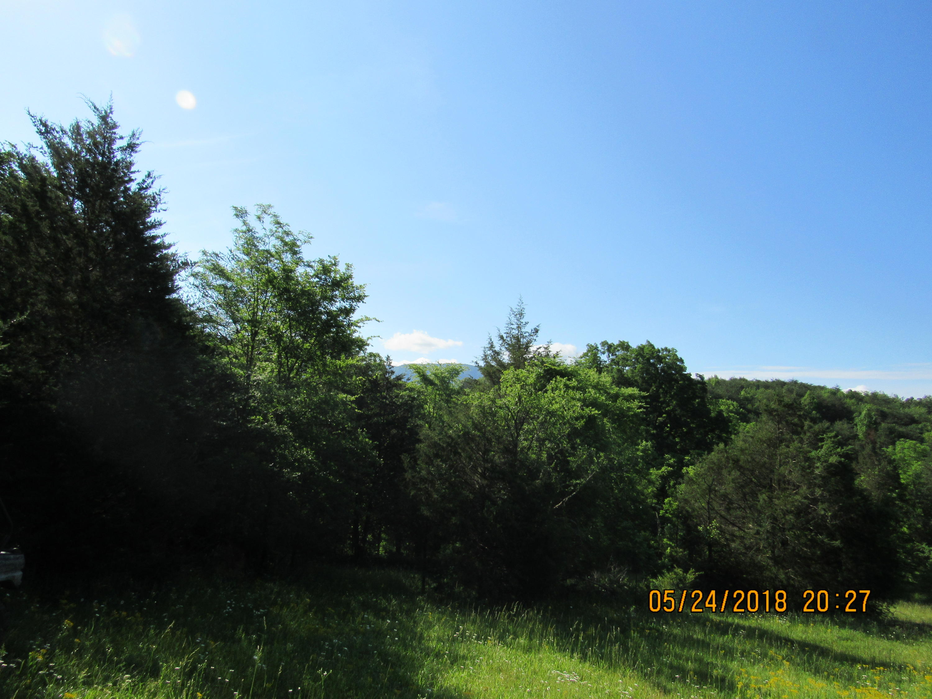 Sunnydale Road Greeneville, TN 37743 - Photo 11 of 23 IMG_0570