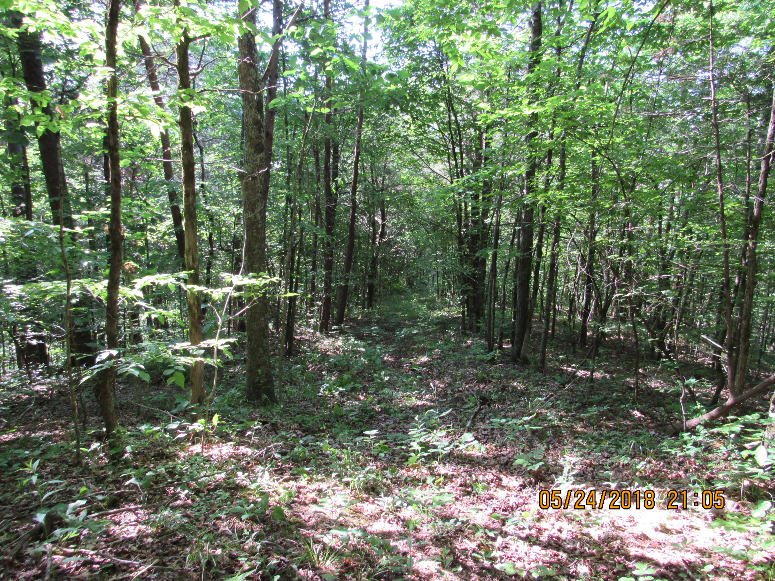 Sunnydale Road Greeneville, TN 37743 - Photo 22 of 23 IMG_0616