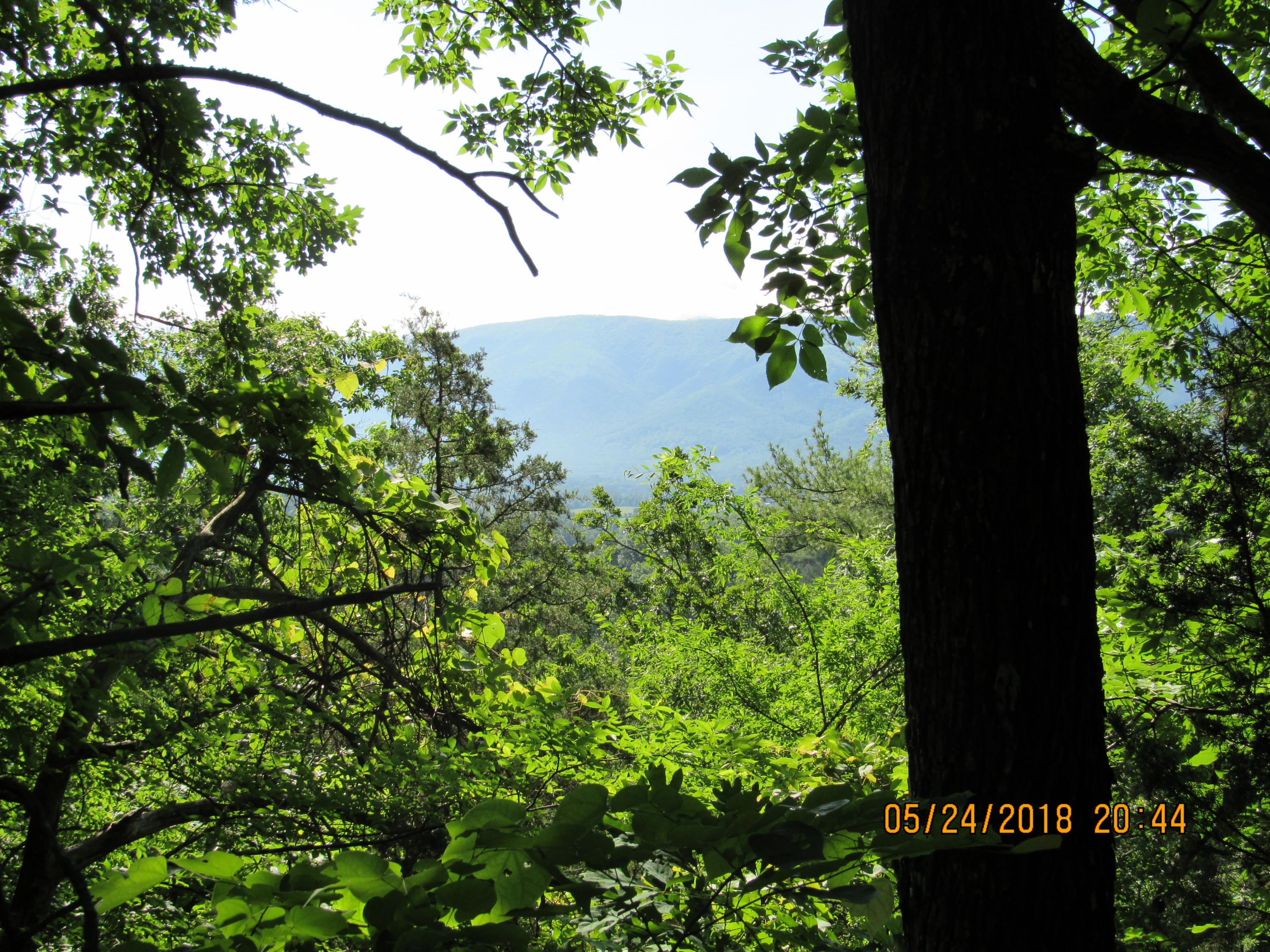 Sunnydale Road Greeneville, TN 37743 - Photo 6 of 23 1 st pic