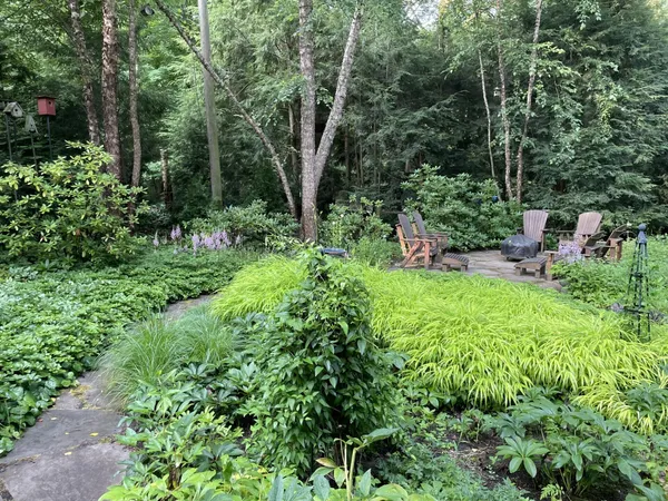 a view of a garden with a bench in the garden