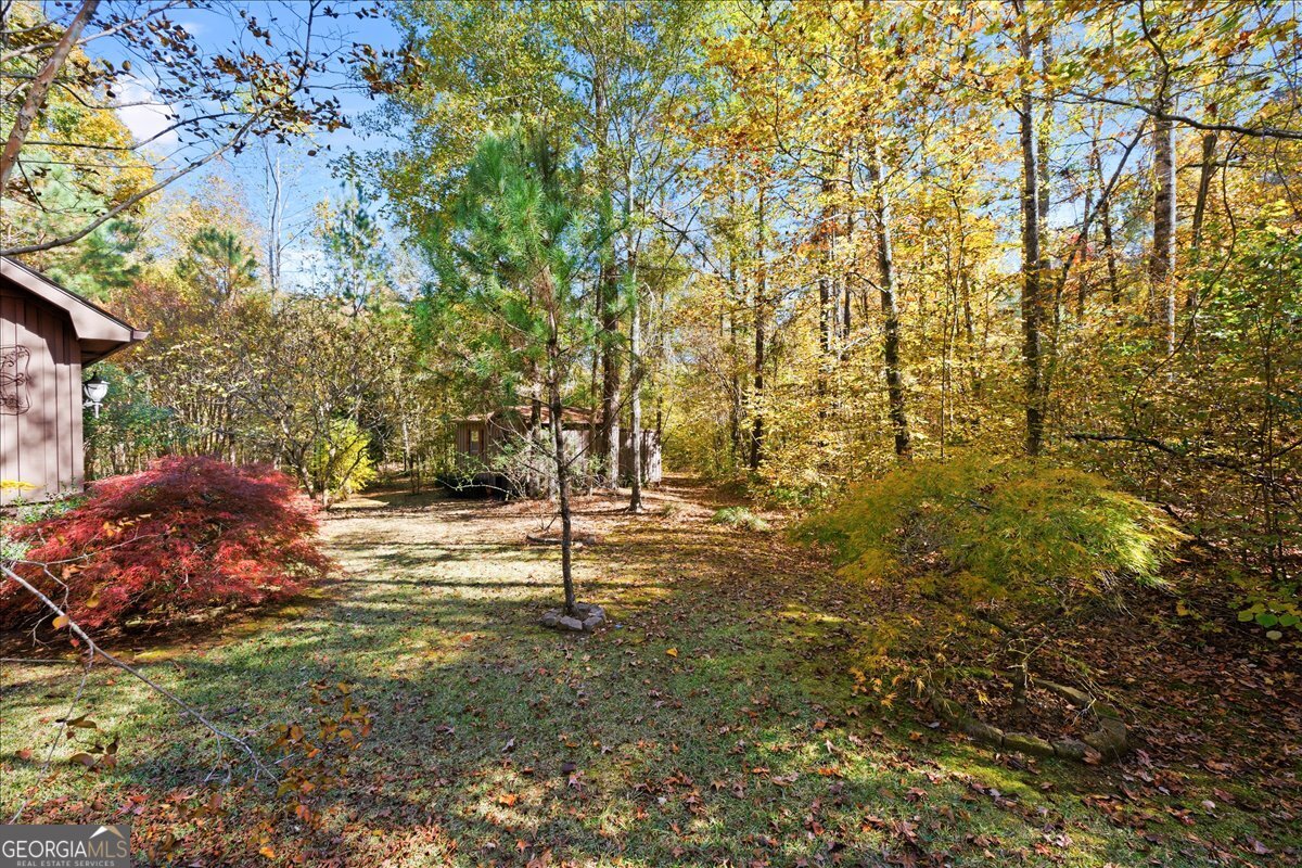 606 Morgan Road Juliette, GA 31046 - Photo 28 of 35 a backyard of a house with lots of green space