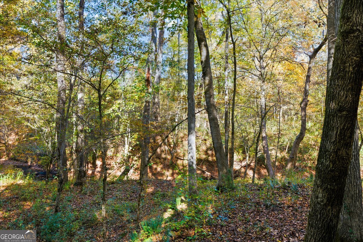 606 Morgan Road Juliette, GA 31046 - Photo 29 of 35 a view of forest