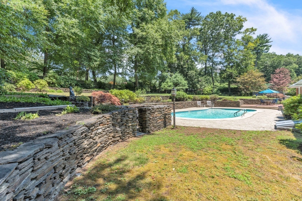 63 Ardsley Road Longmeadow, MA 01106 - Photo 34 of 41 a view of a yard with large trees