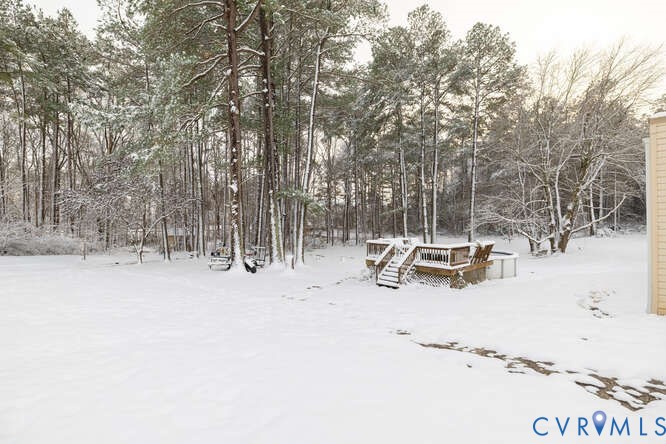 11623 Cox Road Church Road, VA 23833 - Photo 36 of 41